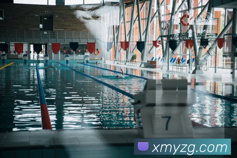 App Interface Preview