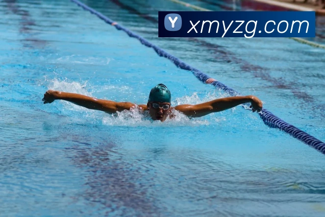 开云在线官网登录入口APP 封面图